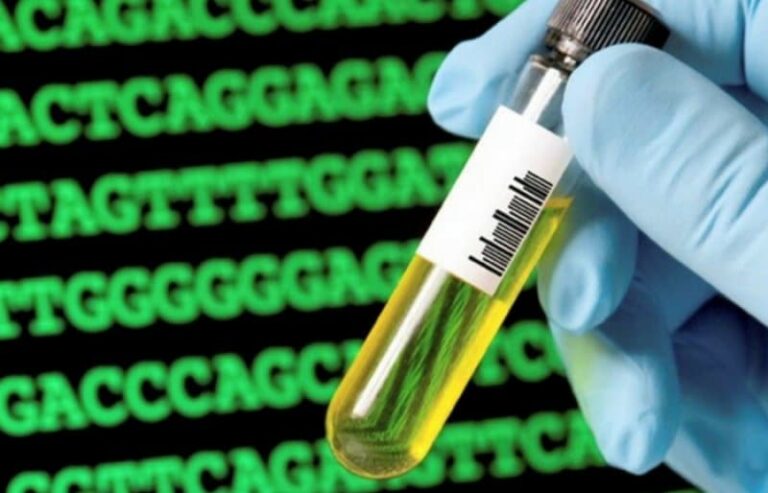 Τεστ πατρότητας DNA ως δικαιολογητικό χορήγησης άδειας διαμονής σε μετανάστη – Τι έκρινε το Διοικητικό Πρωτοδικείο