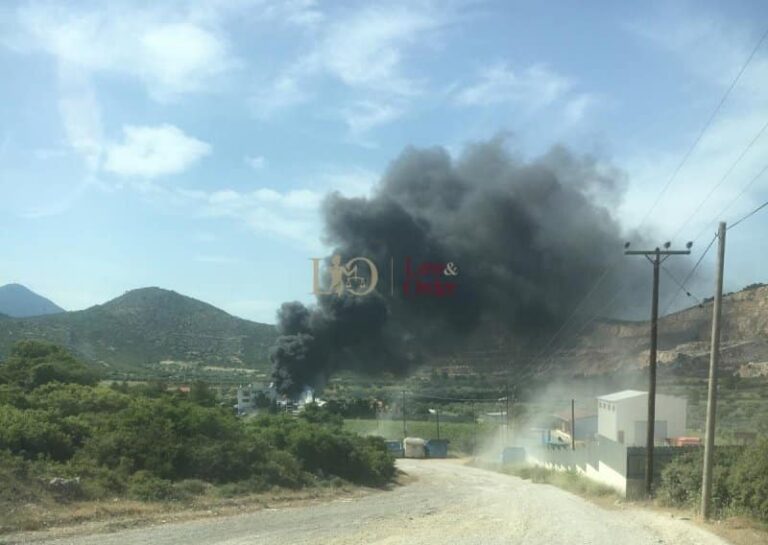 Υπό έλεγχο τέθηκε η μεγάλη πυρκαγιά σε εργοστάσιο στην Αυλίδα (βίντεο και φωτό)