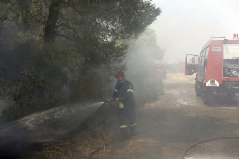 Πυρκαγιά στα Καλάβρυτα