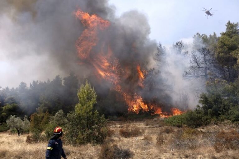 Πυρκαγιά στα Βασιλικά Κέρκυρας