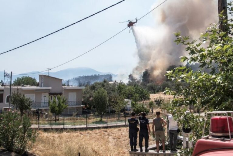 Πυρκαγιά στη Χίο – Ισχυρές δυνάμεις της Πυροσβεστικής