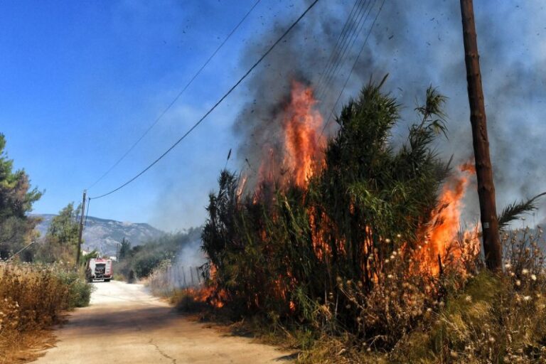 Δασική πυρκαγιά στο Μουζάκι Καρδίτσας
