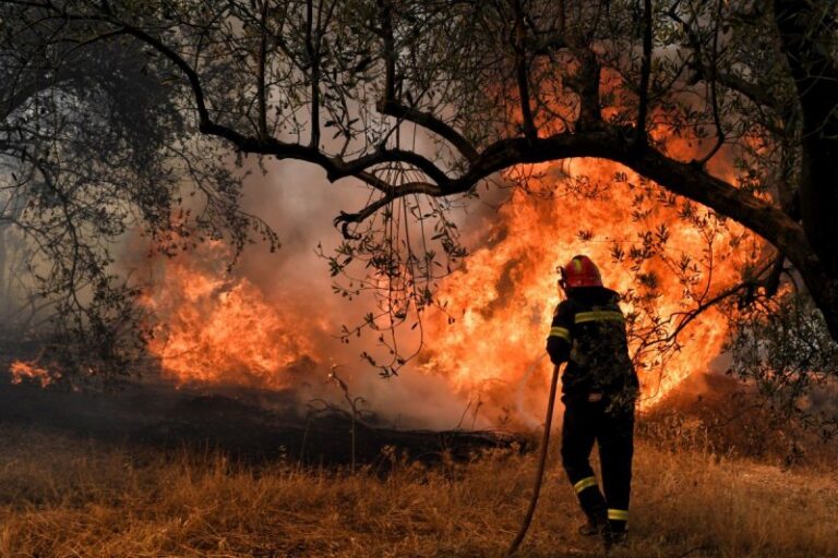 Tέσσερα ενεργά μέτωπα στη φωτιά των Μεγάρων – «Εχθρός» των πυροσβεστών οι δυνατοί άνεμοι