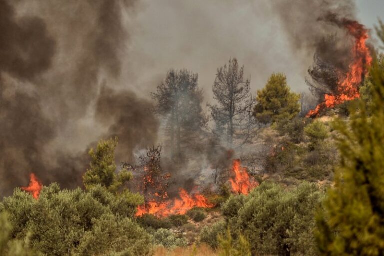 Πολύ υψηλός κίνδυνος πυρκαγιάς για αύριο Δευτέρα (χάρτης)