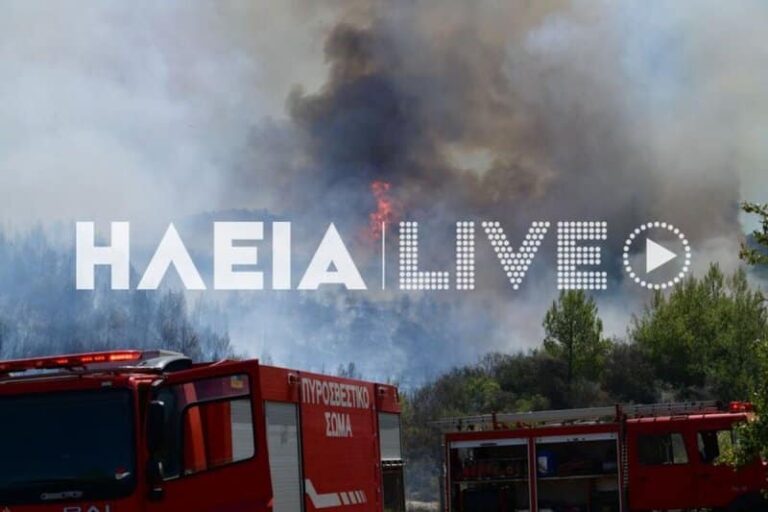Πυρκαγιά στην Ηλεία: Έτοιμο προς εκκένωση το χωριό Χελιδόνι – Ενισχύονται οι δυνάμεις (εικόνες και βίντεο)