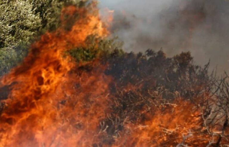 Συναγερμός στις αρχές – Υψηλός κίνδυνος πυρκαγιάς και σήμερα (χάρτης)