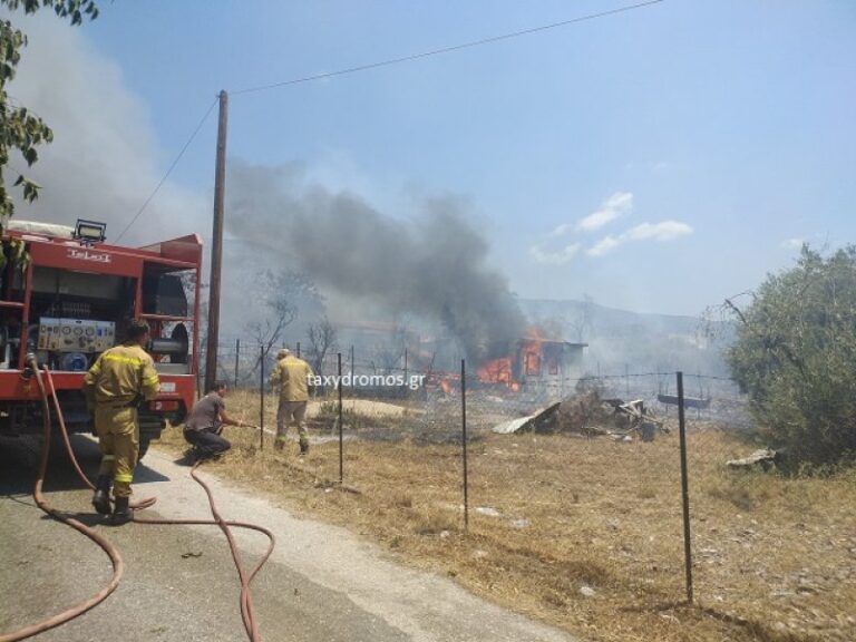 Υπό έλεγχο η φωτιά κοντά σε σπίτια στη Νέα Ιωνία Βόλου (εικόνες)