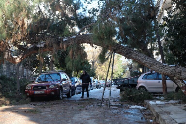 Δήμος Αθηναίων: Αποζημίωση δίνει στους ιδιοκτήτες οχημάτων που υπέστησαν ζημιές από πτώσεις δέντρων