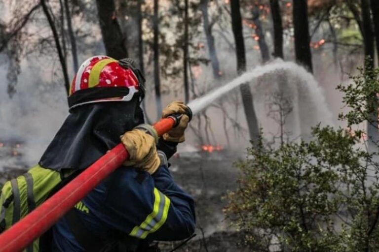 Έρχονται 500 προσλήψεις πυροσβεστών για τη σύσταση Ειδικών Μονάδων Δασικών Επιχειρήσεων