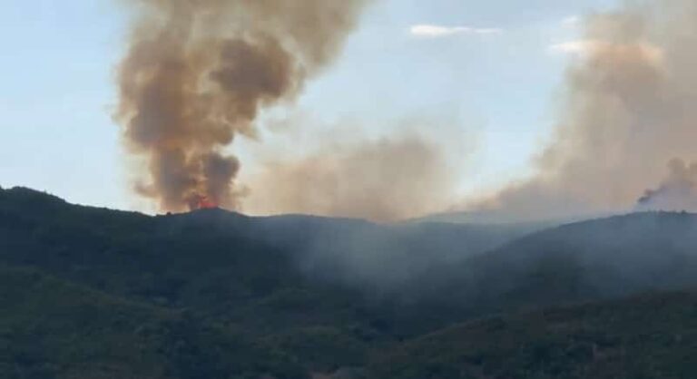 Μεγάλη φωτιά στο Αγρίνιο – 52 πυροσβέστες στη μάχη με τις φλόγες (Βίντεο)