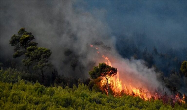 Σε ύφεση η φωτιά στη Νέα Μάκρη – Υπόνοιες για εμπρησμό