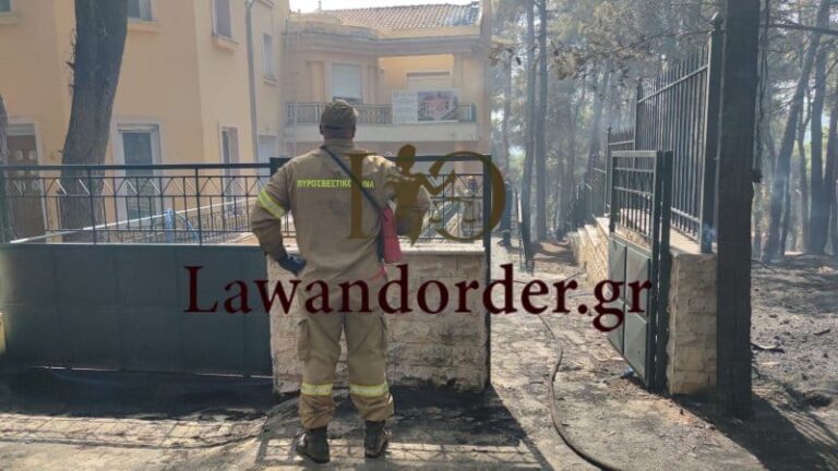 Ασκήθηκε ποινική δίωξη κατά του μελισσοκόμου για την φωτιά στη Σταμάτα
