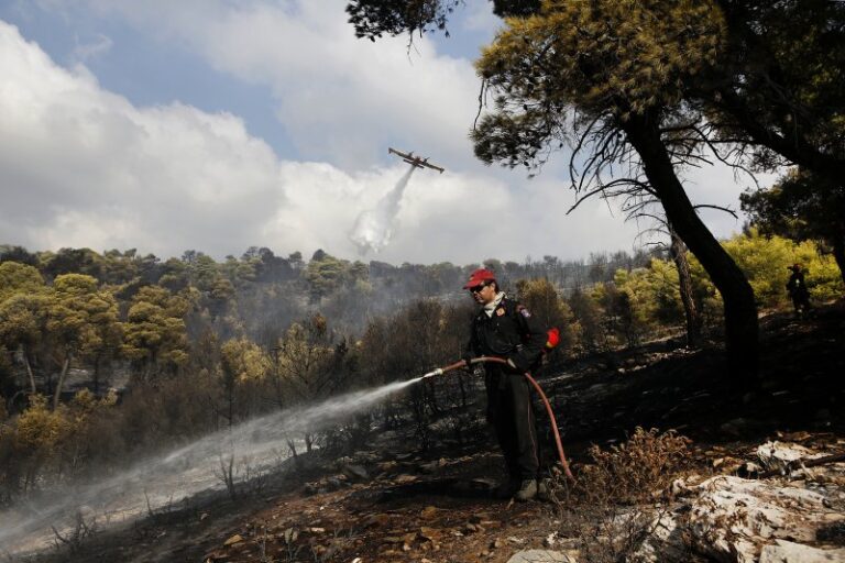 Βίντεο – ντοκουμέντο από τη φωτιά στη Νέα Μάκρη – Καταγγελίες για εμπρησμό