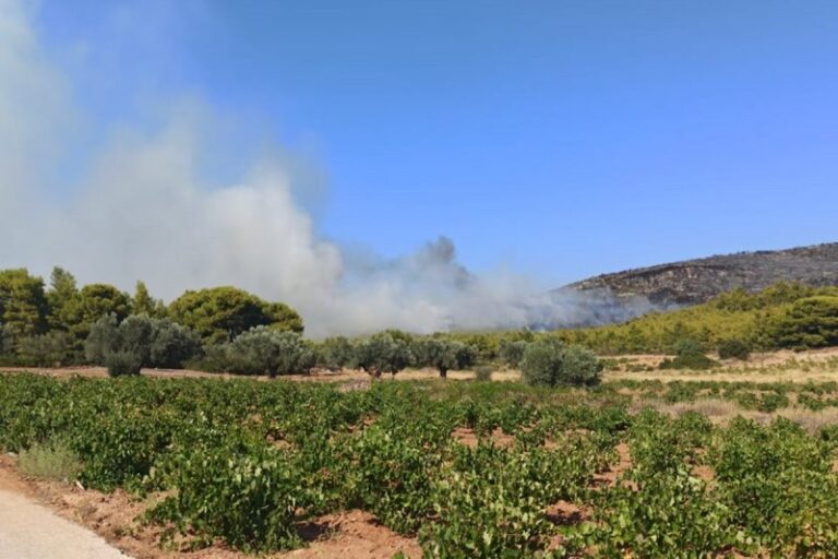 Άκυρος συναγερμός για ύποπτο εμπρηστή στη φωτιά της Κερατέας