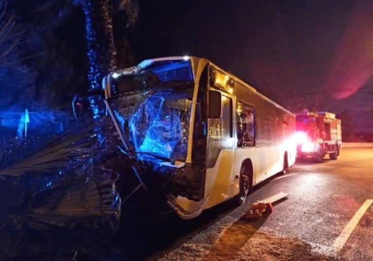 Απίστευτο τροχαίο στη Βουλιαγμένη: Λεωφορείο έπεσε πάνω σε φοίνικα – Τραυματίστηκε ο οδηγός (εικόνες)