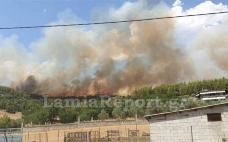Πυρκαγιά στη Μακρακώμη Φθιώτιδας