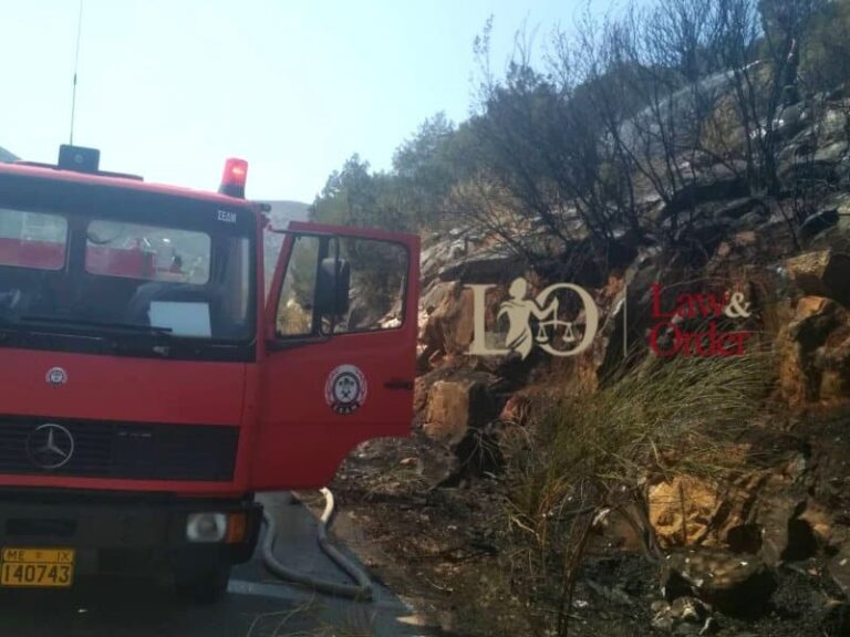 Εμπρησμό «βλέπουν» οι αρχές πίσω από την πυρκαγιά στον Μαραθώνα (Εικόνες)