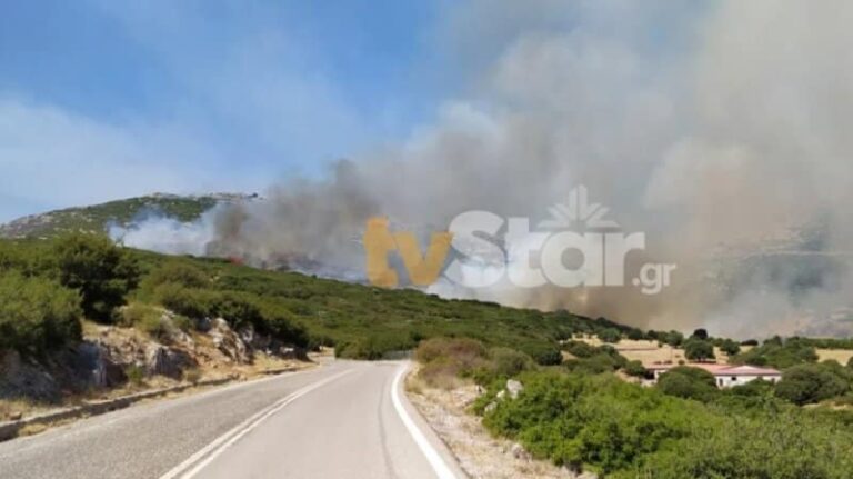 Φωτιά στις Πετριές στην Εύβοια-Κοντά στο χωριό οι φλόγες