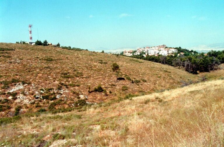 Σοκ στο Πεντελικό Όρος: Περιπατητές βρήκαν ανθρώπινα οστά!