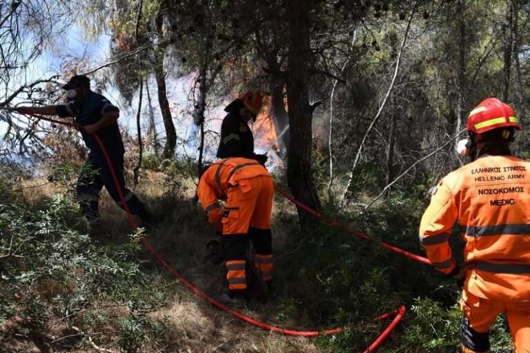 Σώστε την Πάρνηθα και το Τατόι