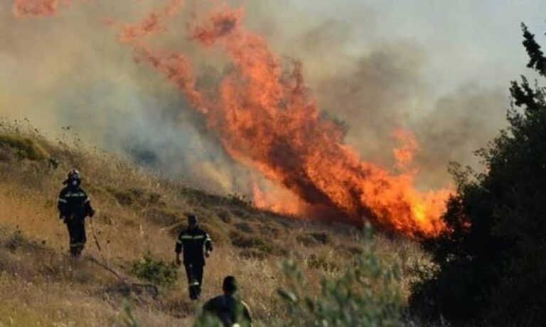 Σε ύφεση η φωτιά στους Δελφούς – 46 πυρκαγιές σ’ ένα 24ωρο