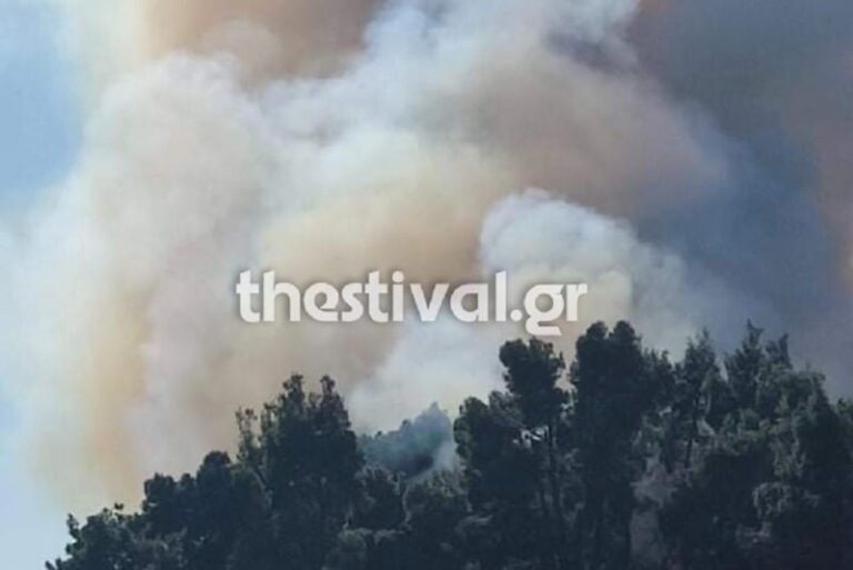 Χαλκιδική: Υπό έλεγχο η φωτιά σε δασύλλιο στην Καλλιθέα