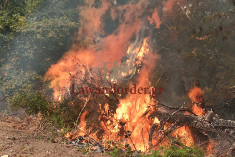 Φωτιά στην Εύβοια: Η ανατριχιαστική στιγμή που χτυπούν οι καμπάνες στις Κεχριές – Δυσκολεύονται να επιχειρήσουν τα εναέρια μέσα (βίντεο)
