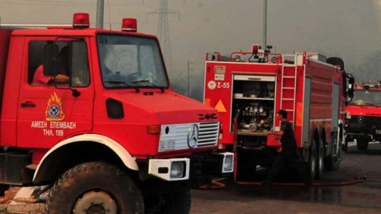 Συνελήφθη γυναίκα για εμπρησμό στην Βοιωτία – 57 αγροτοδασικές πυρκαγιές το τελευταίο 24ωρο