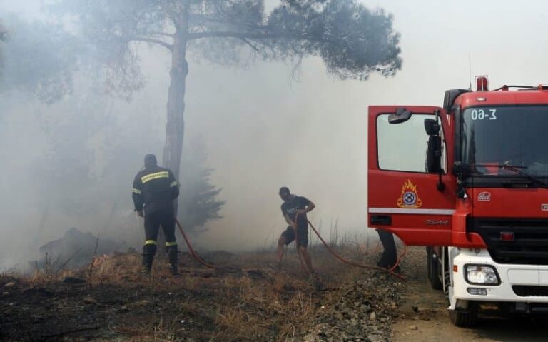 Φωτογραφία αρχείου