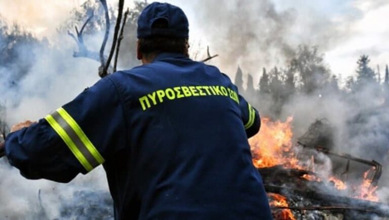 Υπό μερικό έλεγχο η πυρκαγιά σε δασική έκταση στο Πόρτο Γερμενό