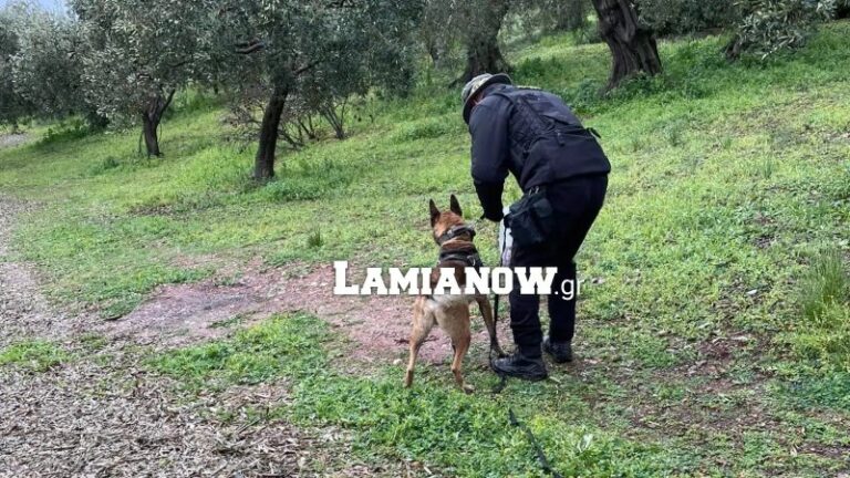 Στυλίδα: Εντοπίστηκε ζωντανός ο 55χρονος αγνοούμενος άνδρας