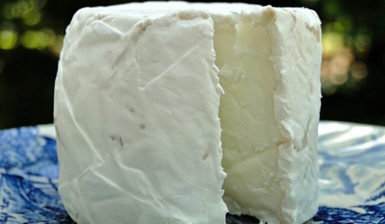 ΕΦΕΤ: Ανακαλείται ανθότυρο λόγω εμφάνισης βακτηρίου λιστέρια