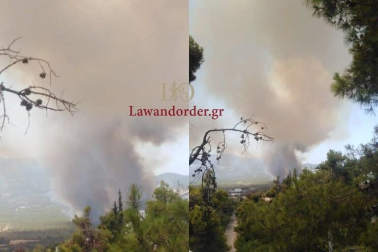 Εισαγγελική παρέμβαση για τα αίτια της πυρκαγιάς στην Βαρυμπόμπη
