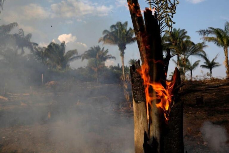 Βραζιλία: Φλέγεται ο Αμαζόνιος #PrayforAmazonas