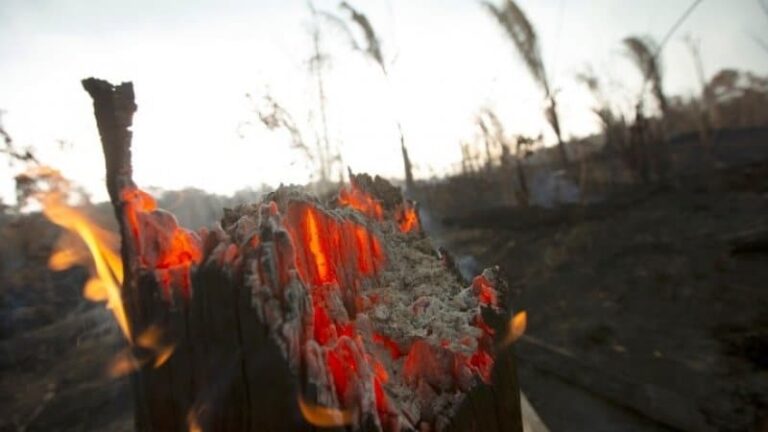 Αμαζόνιος: Πάνω από 1.100 νέες εστίες – «Πυρά» Μπολσονάρου κατά των G7