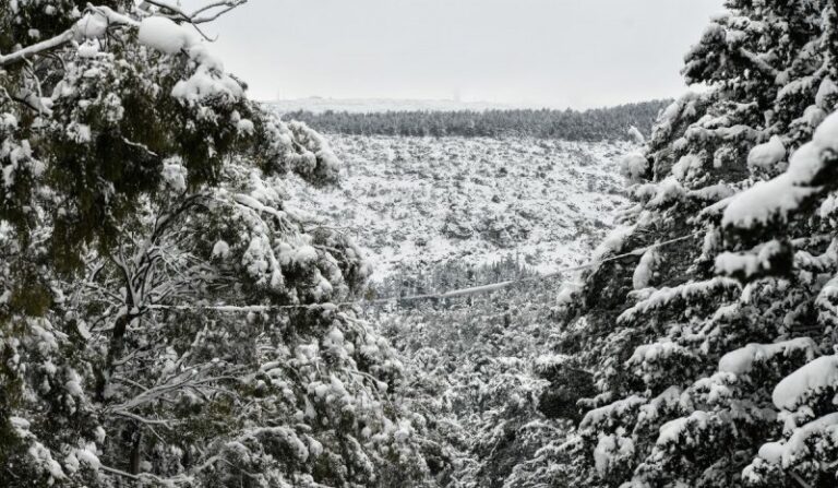 Βροχές, χιόνια και προβλήματα έφερε η κακοκαιρία «Διομήδης»: Ποιες περιοχές έχουν πληγεί