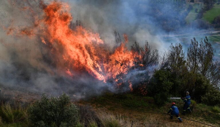 Πυροσβεστική: Πάνω από 400 πυρκαγιές σε μία εβδομάδα – Οι κανόνες πρέπει να τηρούν οι πολίτες