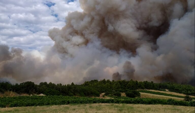 Φωτιά στην Άσκρη Βοιωτίας – Συναγερμός στην Πυροσβεστική