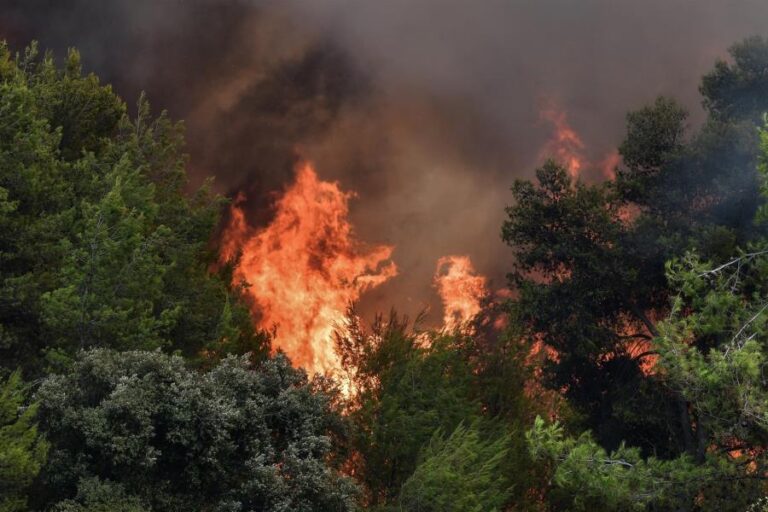 Χαλκιδική: Οριοθετήθηκε η μεγάλη φωτιά στην Κασσάνδρα