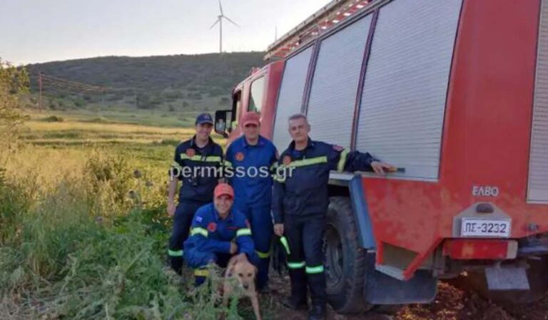 Λιβαδειά: Σκυλί έπεσε σε πηγάδι 14 μέτρων – Το έσωσε η Πυροσβεστική (εικόνες)