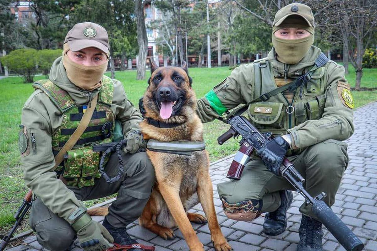 Ο σκύλος Μαξ που υπηρετεί πλέον στον ουκρανικό Στρατό