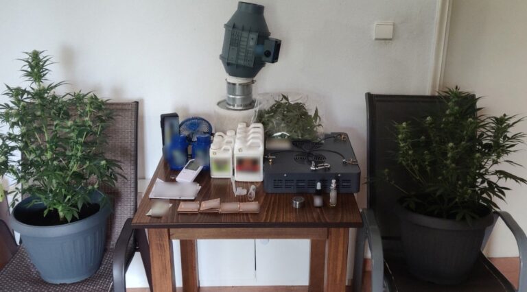 Βόρεια Ελλάδα: Ένας λιμενικός συνελήφθη για ναρκωτικά – Κατείχε εξοπλισμένο εργαστήριο υδροπονικής καλλιέργειας κάνναβης