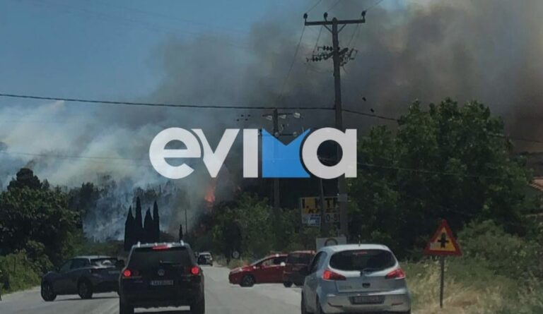 Φωτιά στο Αλιβέρι: Σοβαρά προβλήματα στην περιοχή – Χωρίς ρεύμα οι κάτοικοι (εικόνες)