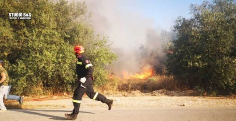 Αργολίδα: Φωτιά στην περιοχή Πουλακίδα