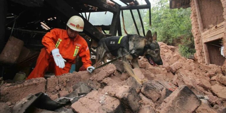 Φωτογραφία αρχείου