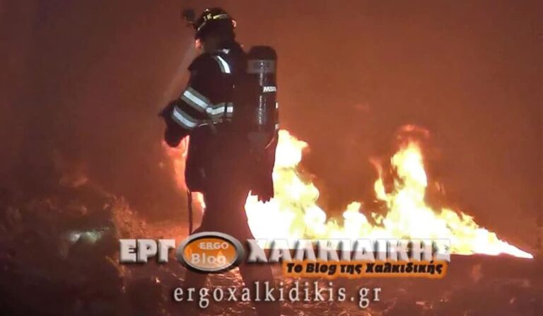 Μεγάλη φωτιά στο Άγιο Όρος – Ισχυρές πυροσβεστικές δυνάμεις στο σημείο – Και εναέρια μέσα στη «μάχη»