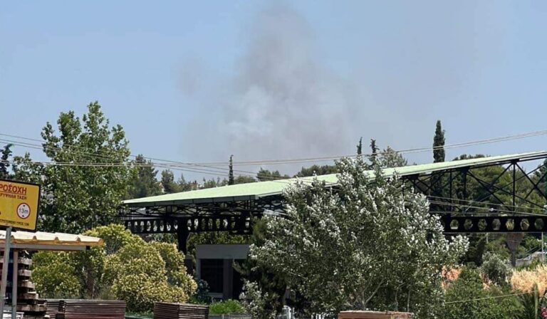 Οριοθετήθηκε η πυρκαγιά στον Άγιο Στέφανο που καίει κοντά σε σπίτια – Πληροφορίες για έναν τραυματία πυροσβέστη