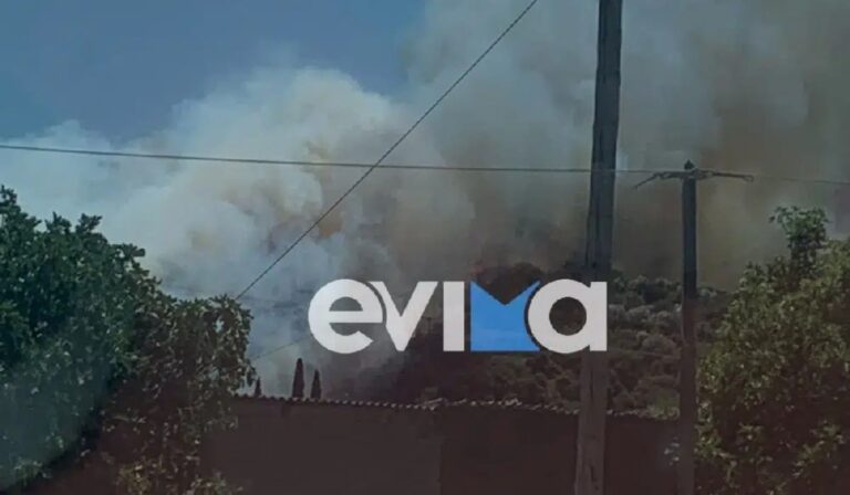 Φωτιά στο Αλιβέρι της Εύβοιας – Οι φλόγες βρίσκονται κοντά σε κατοικημένη περιοχή