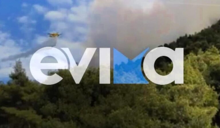 Υπό έλεγχο η φωτιά στην Εύβοια χάρη στην άμεση κινητοποίηση των πυροσβεστικών δυνάμεων