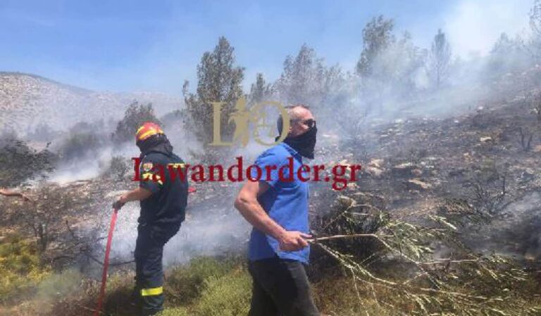 Φωτιά στην Άνω Γλυφάδα: Ενισχύθηκαν οι δυνάμεις – Δυνατοί άνεμοι στην περιοχή (εικόνα & βίντεο)